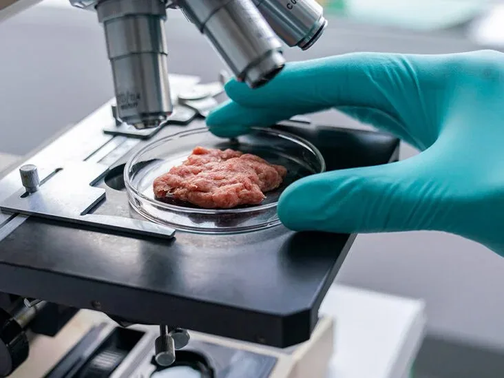 Lab Grown Meat: Nutritionist Challenges the Nutritional Value